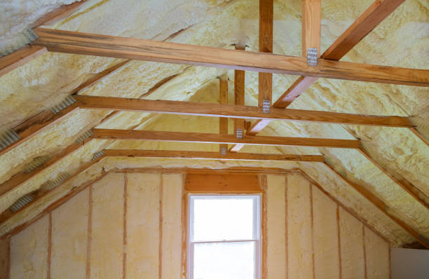 Best Types of Insulation in Woodward, IA