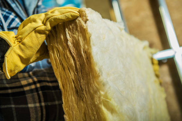 Best Residential Insulation in Woodward, IA