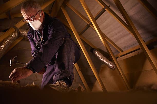 Best Specialty Insulation in Woodward, IA