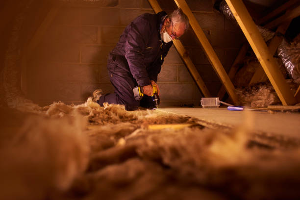 Best Insulation Maintenance and Repair in Woodward, IA